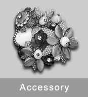 Accessory